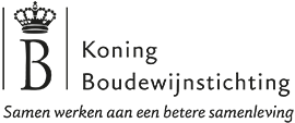 Koning Boudewijnstichting